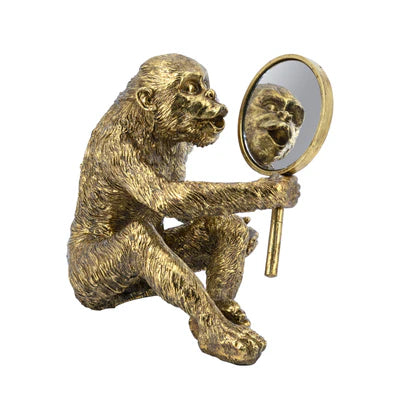 Mirror Monkey