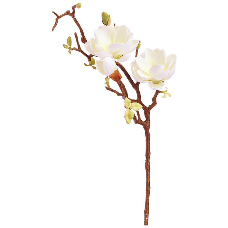 White Magnolia Stem 75cm