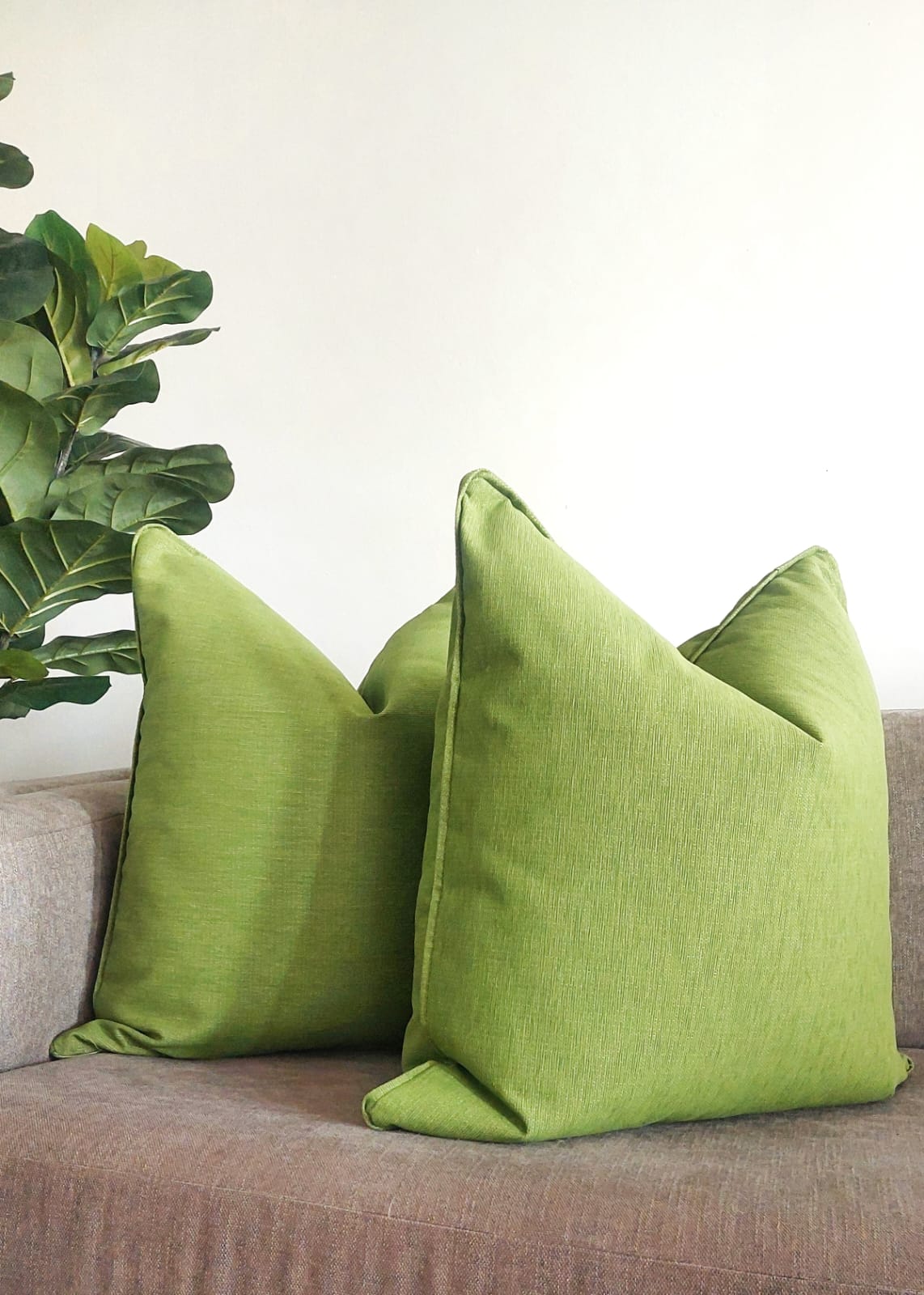 Green Garden Cushions