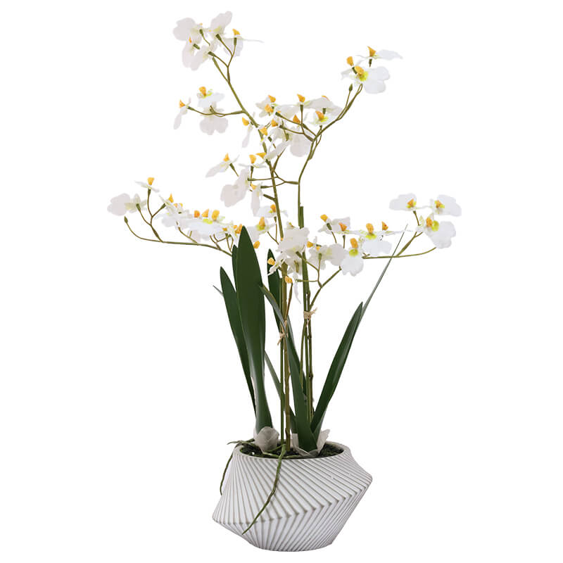 Crafted Orchid