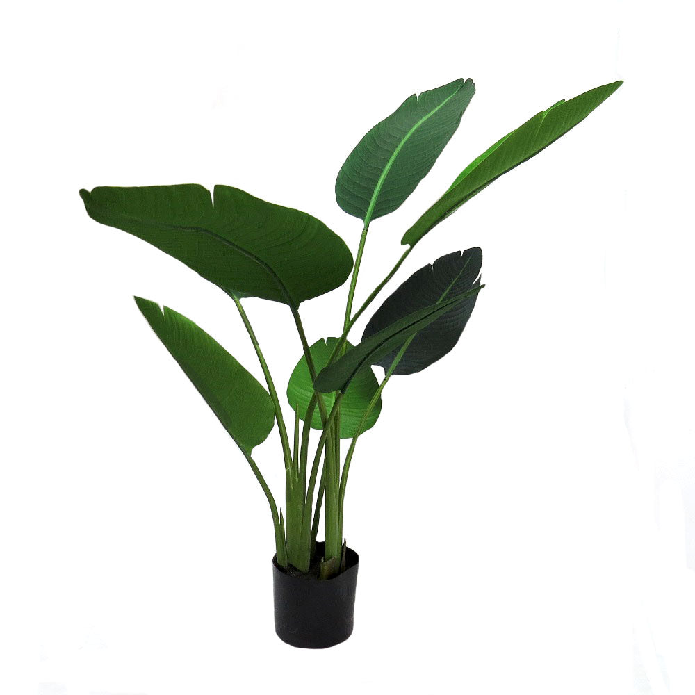 Banana Plant -115cm