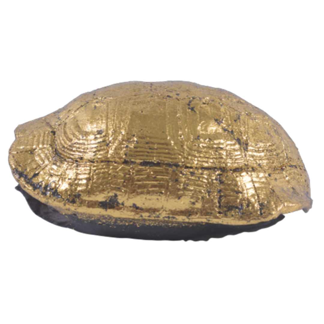 Tortoise Shell