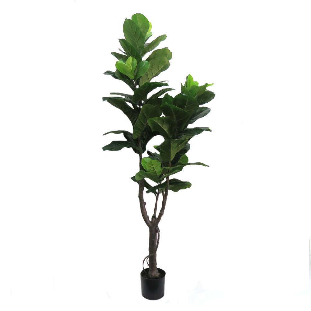 Artificial Fiddlefig Tree