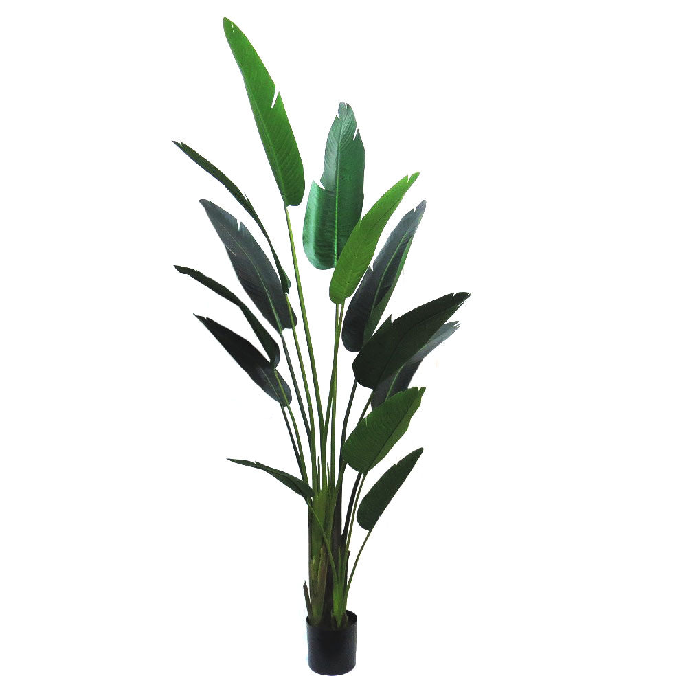 Artificial Strelizia Tree - 210cm