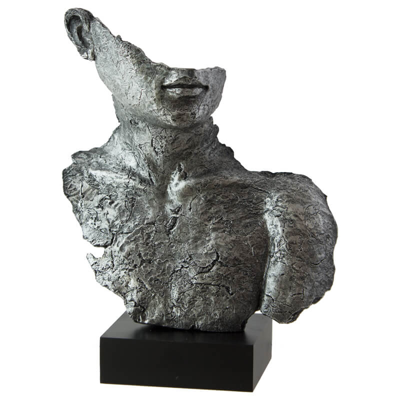 Sandile Bust