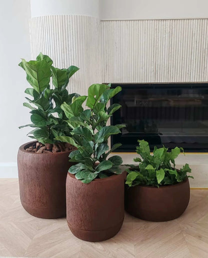 Luyanda Planters