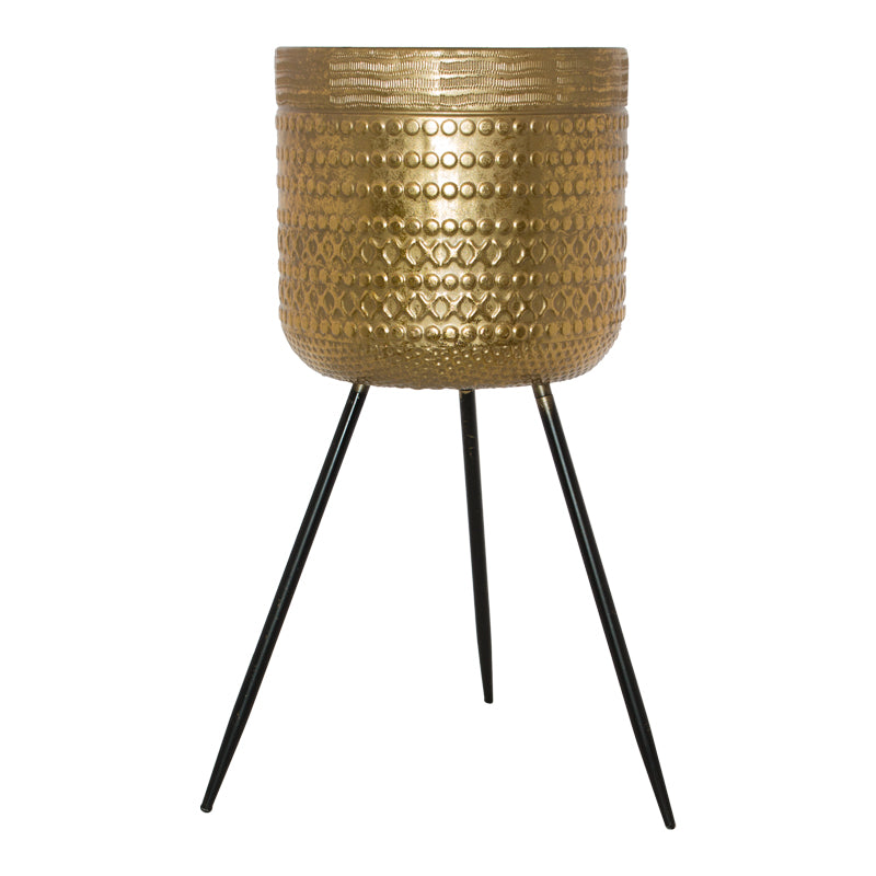 Fantasy Gold Pot Planter