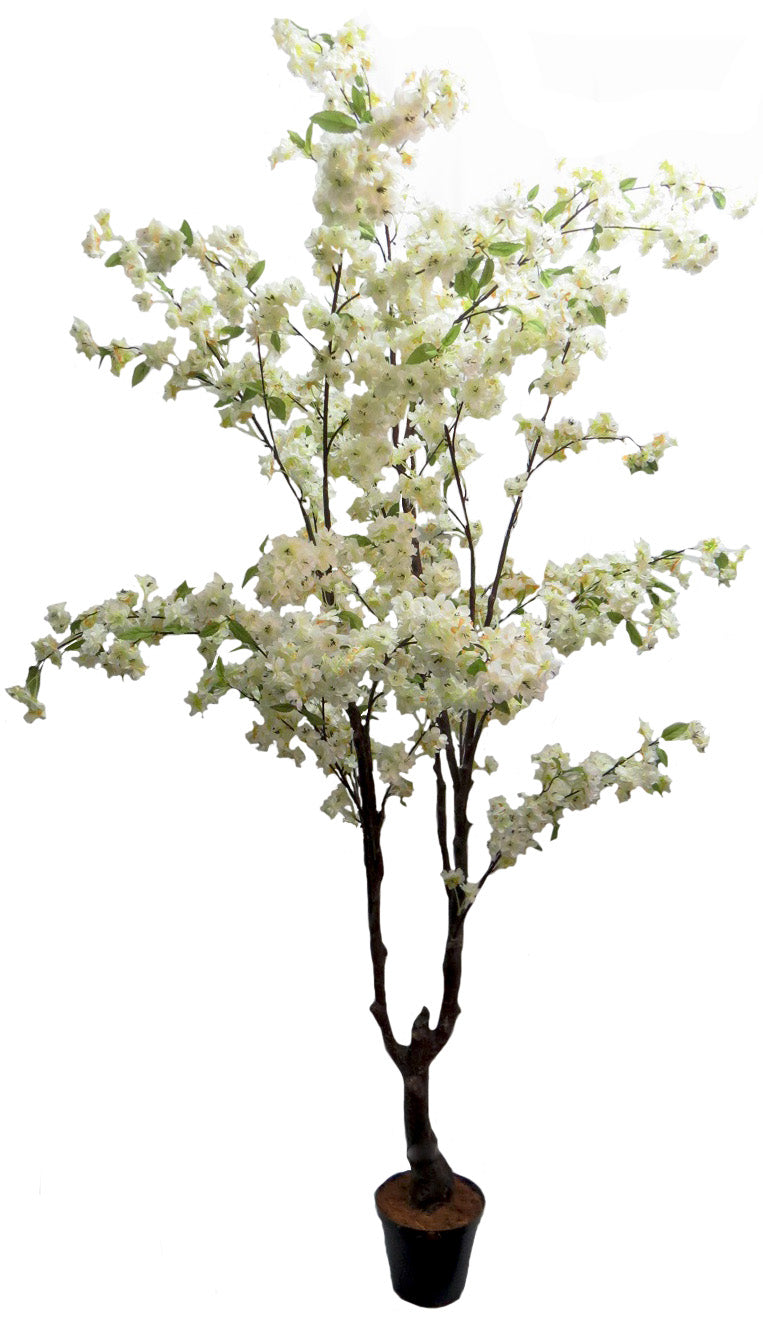 White Blossom Tree - 195cm