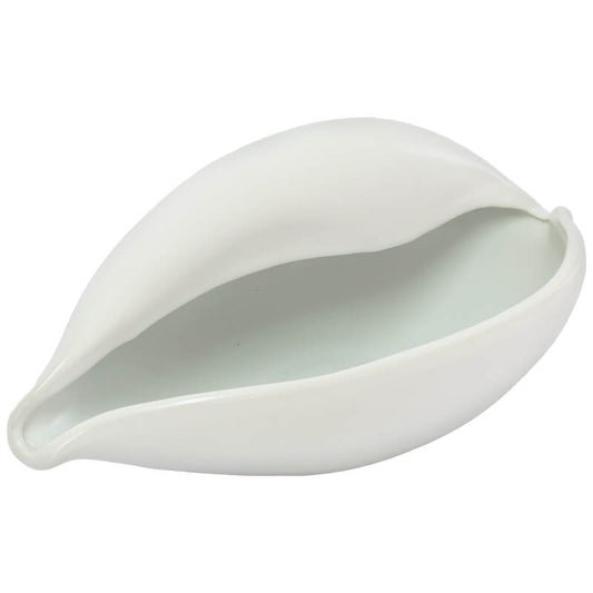 White Shell Sculpture