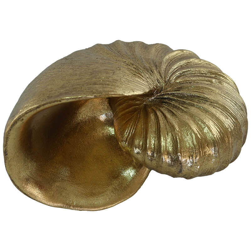 Gold Shell Decor