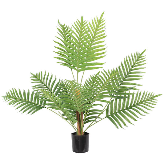 Tropical tree