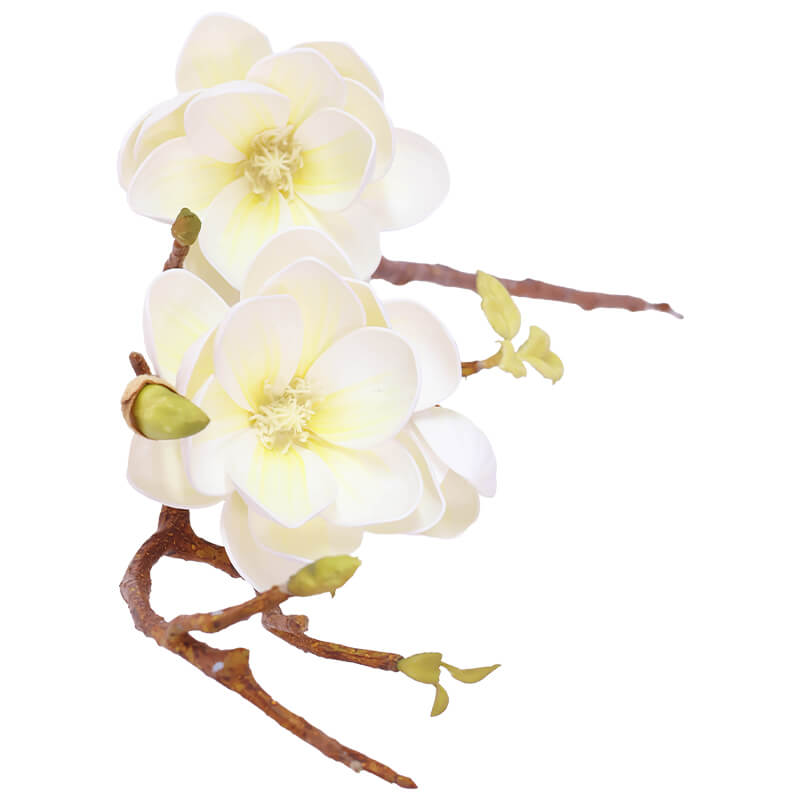 White Magnolia Stem 75cm