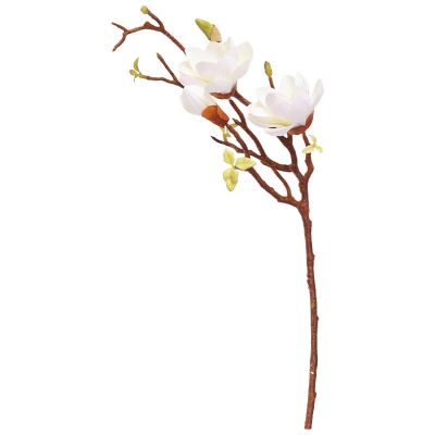 White Magnolia Stem 75cm