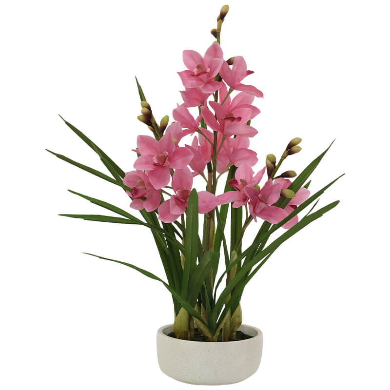 PINK CYMBIDIUM IN WHITE POT 74CM
