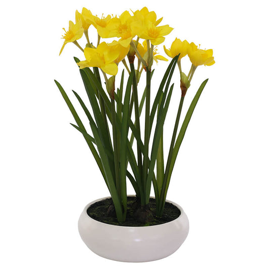 YELLOW DAFFODIL IN POT 45CM
