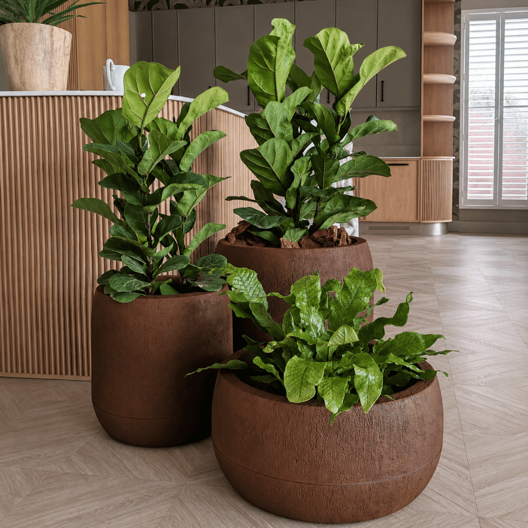 Luyanda Planters