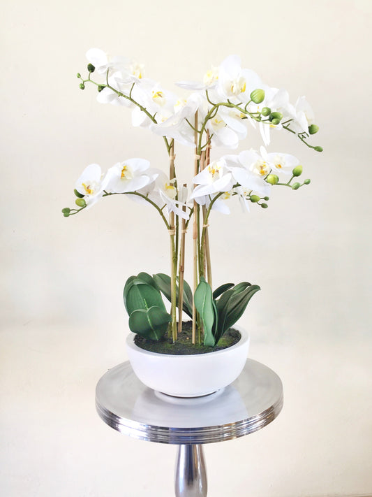 Artificial white pot orchid