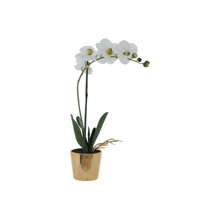 Artifical orchid in gold pot