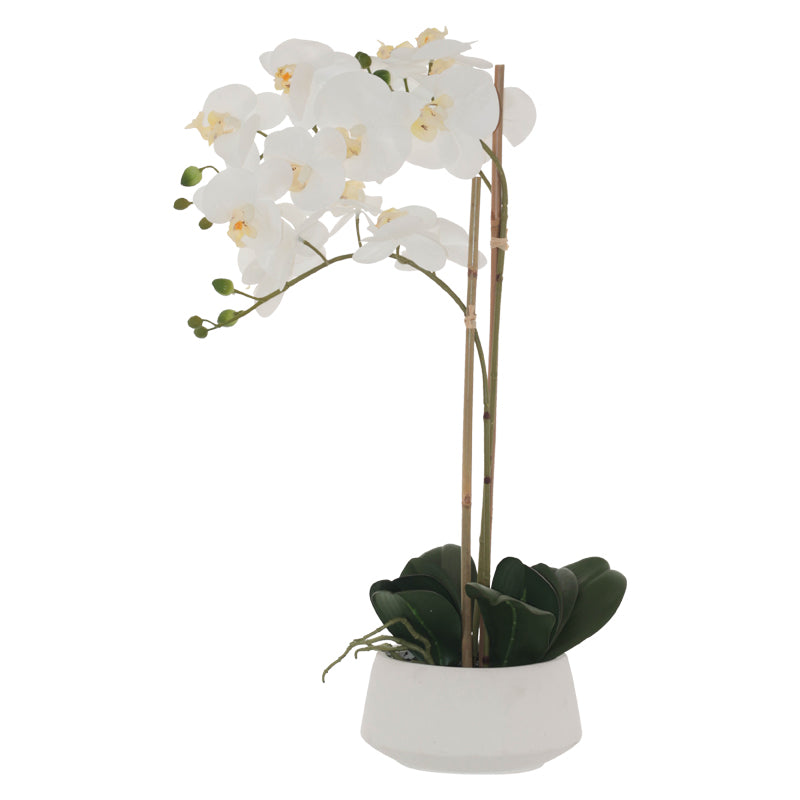 White Orchid Pot 71cm