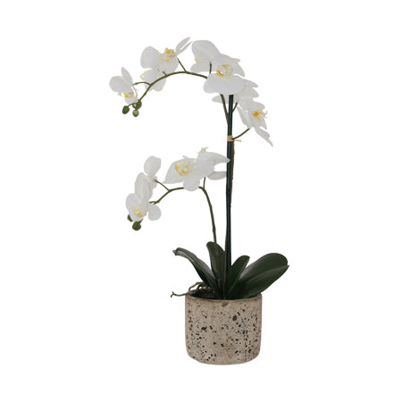 Artificial white orchid in cement pot