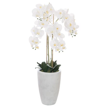 Giant real touch orchid on white pillar