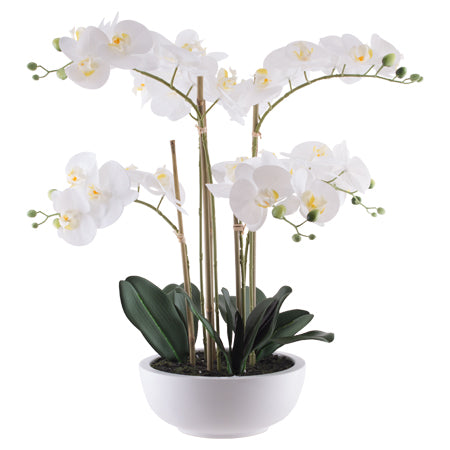 Artificial white pot orchid